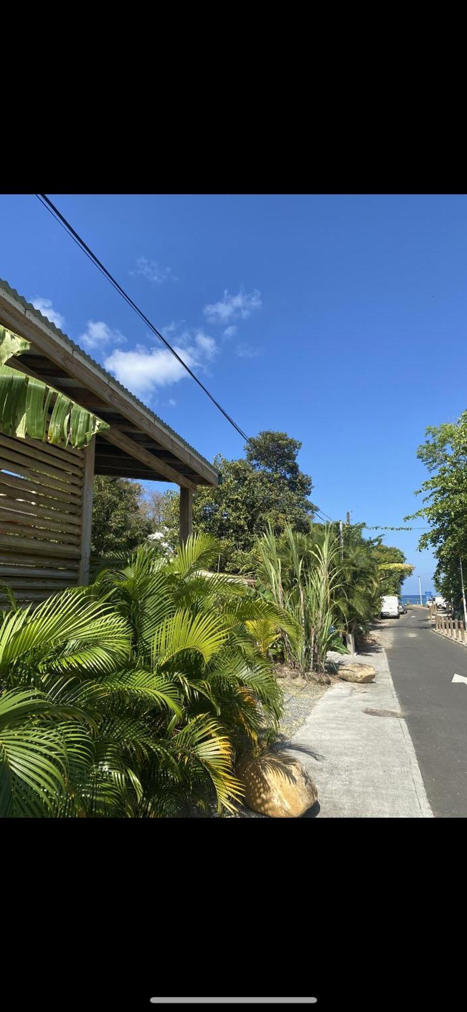 Charmant Bungalow Tout Confort Climatise - Terrasse Et Acces Plage ! Deshaies Dış mekan fotoğraf